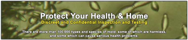 Mold Bacteria, Crawl Space Encapsulation in Goose Creek SC